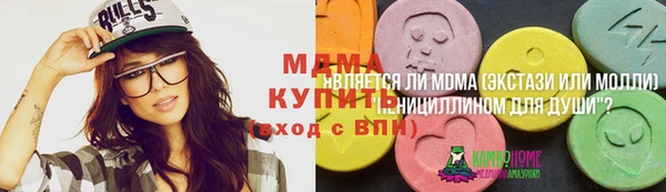 ПСИЛОЦИБИНОВЫЕ ГРИБЫ Вязьма
