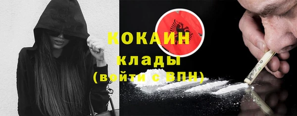 ПСИЛОЦИБИНОВЫЕ ГРИБЫ Вязьма