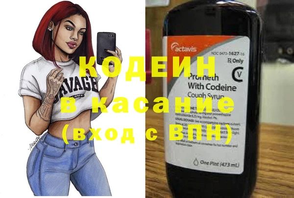 индика Горнозаводск