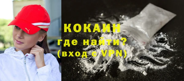 индика Горнозаводск