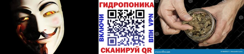 Купить Коркино Бошки Шишки план